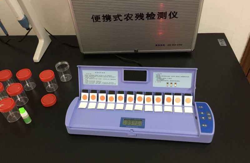 蔬菜大棚內(nèi)使用農(nóng)藥殘留檢測儀進行檢測