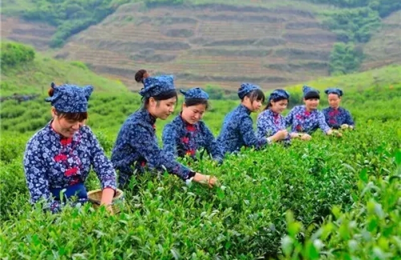 炎陵縣配備農(nóng)藥殘留檢測(cè)儀來做好抽樣檢測(cè)