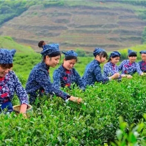 炎陵縣配備農(nóng)藥殘留檢測儀來做好抽樣檢測